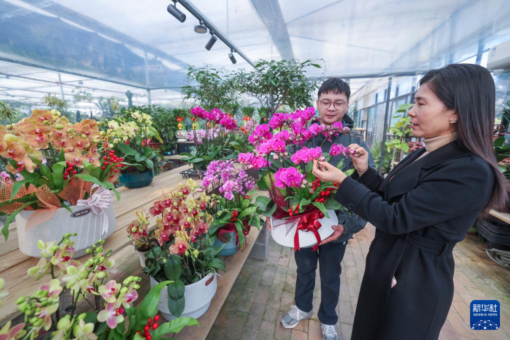 年宵花开启销售旺季 五彩火狐电竞花卉扮靓新年(图4)