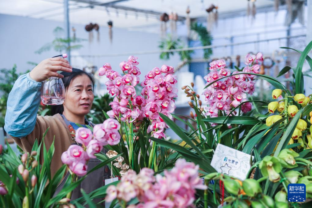 年宵花开启销售旺季 五彩火狐电竞花卉扮靓新年(图3)