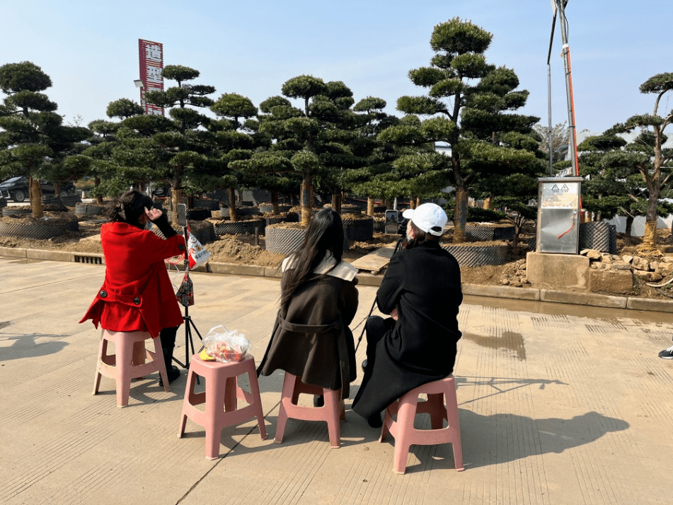 扬州江都｜探索火狐电竞“苗木+电商”销售新渠道(图2)