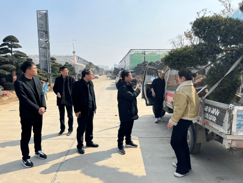 扬州江都｜探索火狐电竞“苗木+电商”销售新渠道(图3)