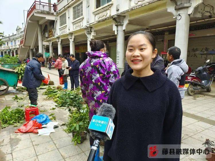 藤县苗木市场火狐电竞购销两旺(图4)