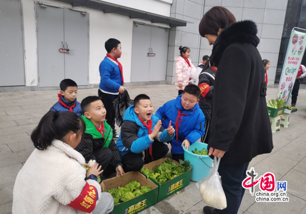火狐电竞卖菜啦！宜宾屏山君山路小学种植实践园迎来大丰收(图3)