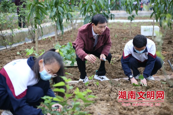 “劳动”托起少年梦！湖南多地青少年劳动教育这火狐电竞样开展(图1)