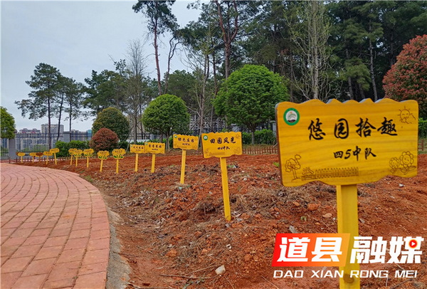 “劳动”托起少年梦！湖南多地青少年劳动教育这火狐电竞样开展(图4)