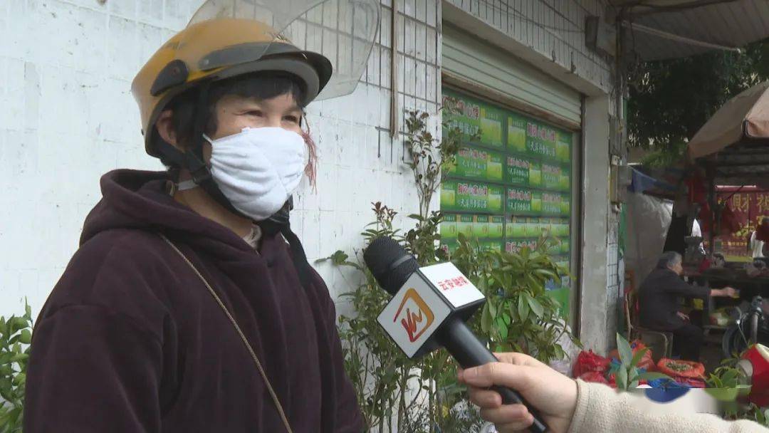 新年播种新希望！云安苗木市场品种繁多购销两旺火狐电竞(图4)