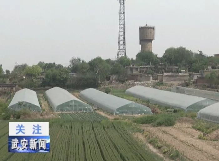火狐电竞刘庄种植养殖巧结合 绿色生态快加鞭(图4)