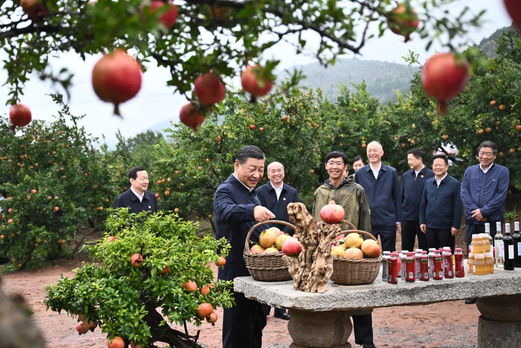 火狐电竞2023年新华社年度照片•领航(图20)