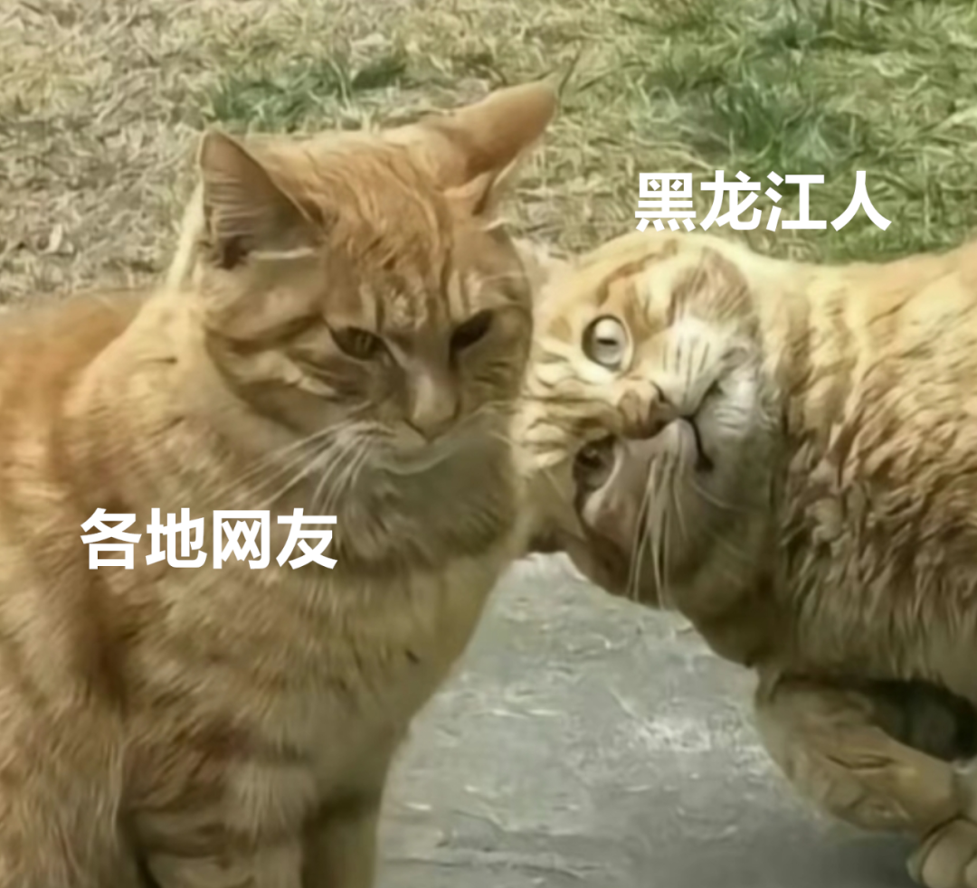 火狐电竞今年头号破防大新闻全国网友都在“控诉”被家乡背刺(图15)