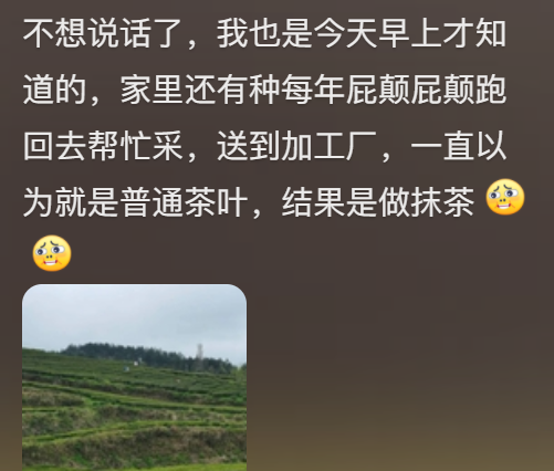 火狐电竞今年头号破防大新闻全国网友都在“控诉”被家乡背刺(图16)