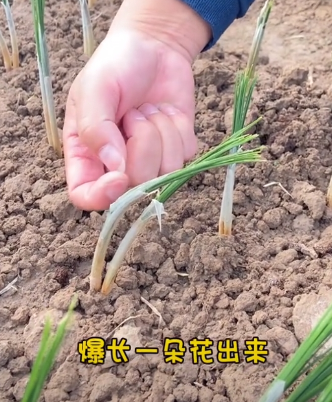 火狐电竞今年头号破防大新闻全国网友都在“控诉”被家乡背刺(图23)