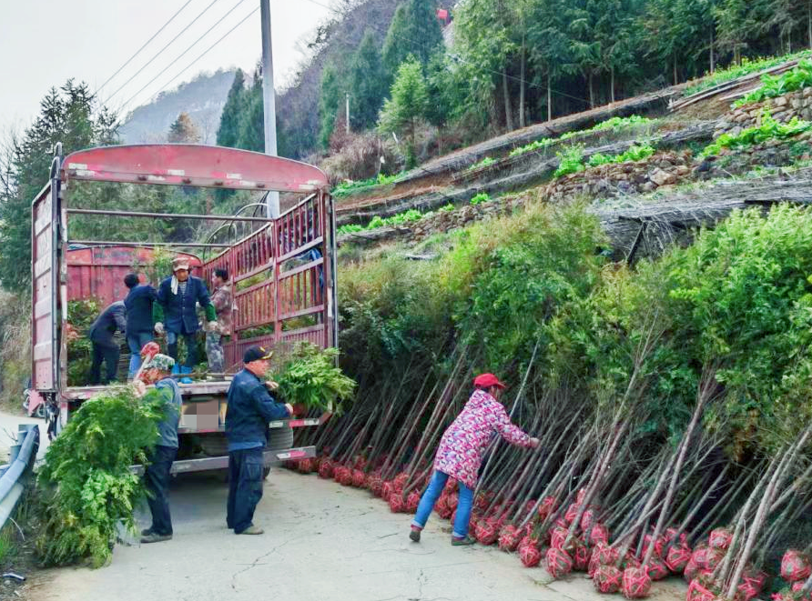 火狐电竞湖南新宁：着力绘就和美乡村幸福画卷(图1)