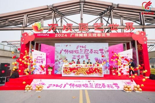 深读｜南海上演“繁花”大戏火狐电竞！里水蝴蝶兰“亿株花”从这里走向世界(图1)