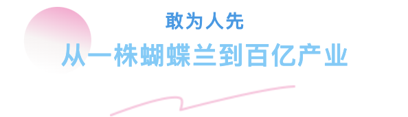 深读｜南海上演“繁花”大戏火狐电竞！里水蝴蝶兰“亿株花”从这里走向世界(图3)