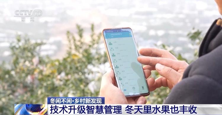冬天水果也丰收、竹林空气变成钱……智慧管理带来乡村新发现_山东_大众网火狐电竞(图2)