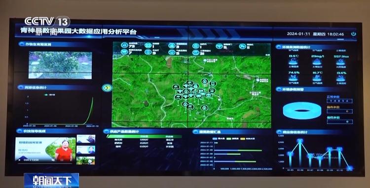冬天水果也丰收、竹林空气变成钱……智慧管理带来乡村新发现_山东_大众网火狐电竞(图3)