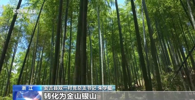 冬天水果也丰收、竹林空气变成钱……智慧管理带来乡村新发现_山东_大众网火狐电竞(图8)