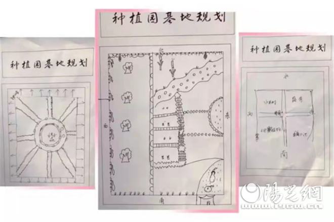 火狐电竞灞桥区狄寨二幼：小小种植园绿色大世界(图3)
