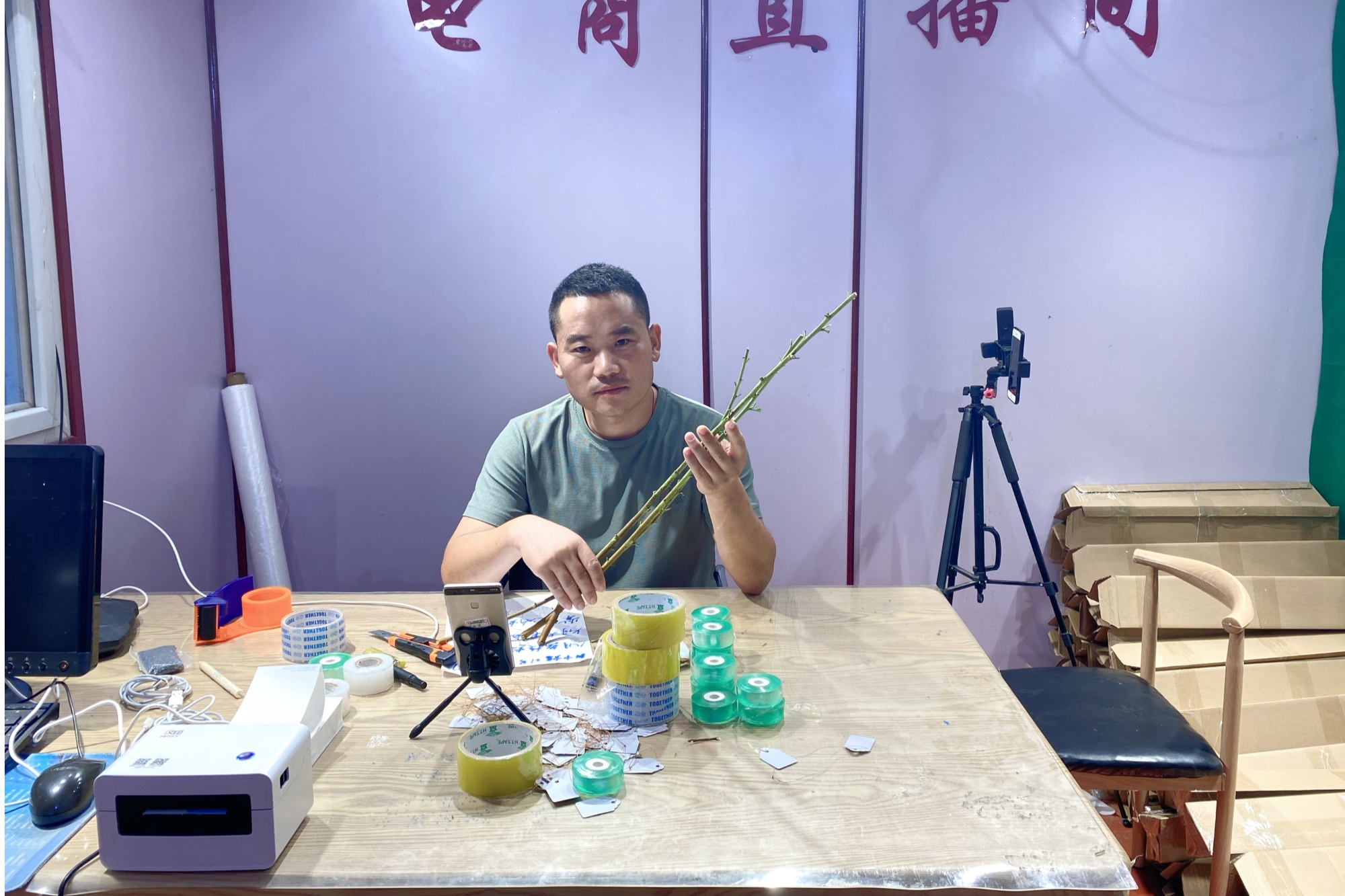 河北安国：蟠桃挂火狐电竞枝头 增收有盼头(图3)