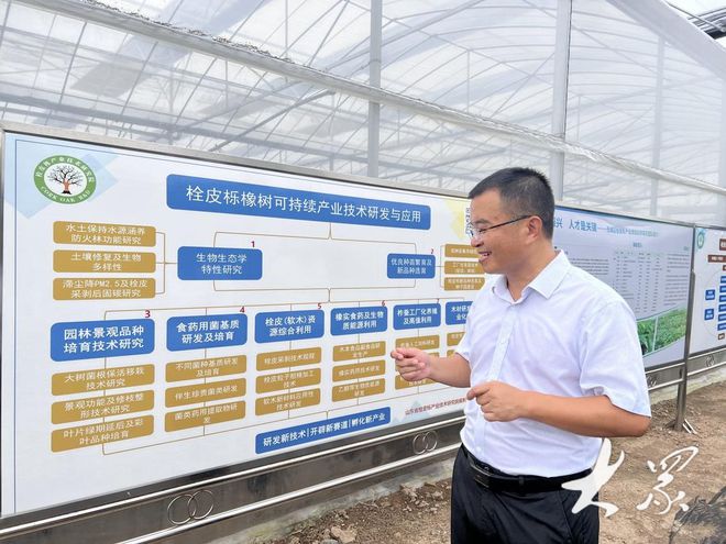 反复剥皮树还能活苗木村火狐电竞转型升级试种栓皮栎(图3)