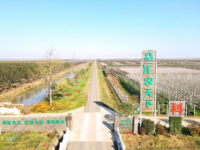 火狐电竞盆景产业园、苗木培育基地、汇农天下APP…一文带您了解汇农天下！(图1)