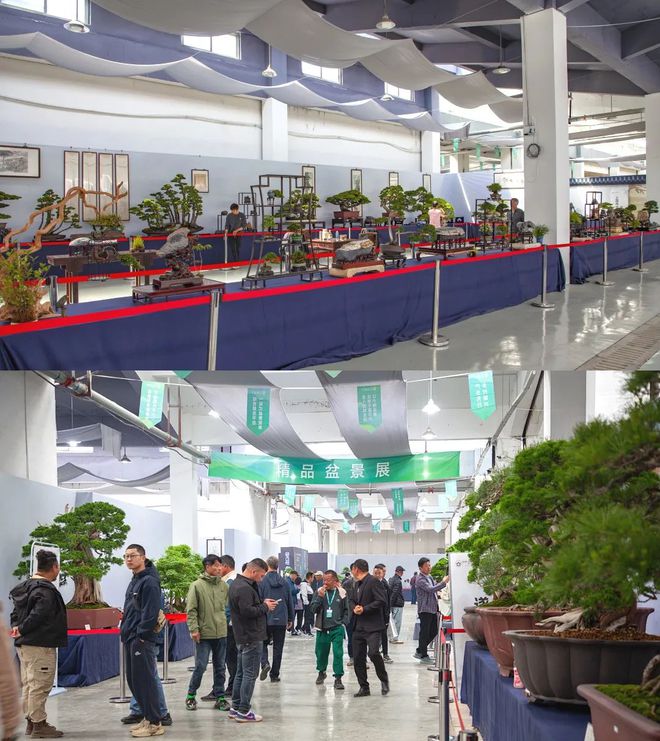 火狐电竞盆景产业园、苗木培育基地、汇农天下APP…一文带您了解汇农天下！(图10)