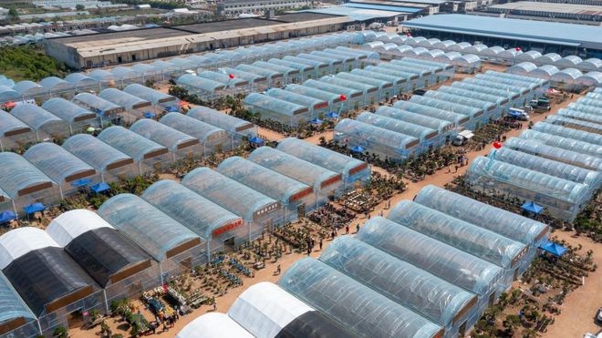 火狐电竞盆景产业园、苗木培育基地、汇农天下APP…一文带您了解汇农天下！(图8)