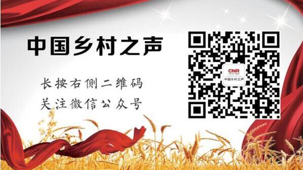 火狐电竞漫谈苗木行业商机无限 功能性苗木前景可期(图1)