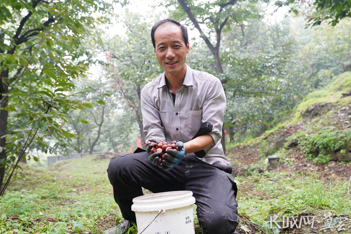 火狐电竞奋进强国路 阔步新征程·老区行｜邢台前南峪：“红绿交织”绘就乡村振兴新画卷(图4)