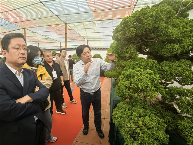 火狐电竞以节会友、以苗聚商！第十九届泰山苗木花卉交易会开幕(图3)