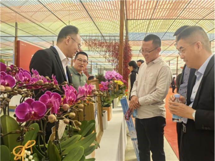 火狐电竞第十九届泰山苗木花卉交易会开幕(图2)