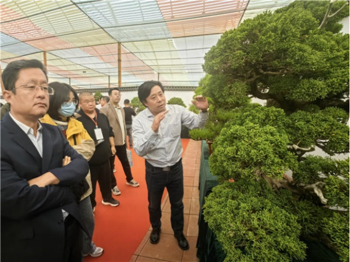 火狐电竞第十九届泰山苗木花卉交易会开幕(图3)